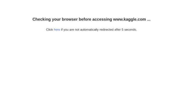 Kaggle interface preview