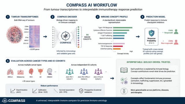 COMPASS AI Tool Outperforms PD‑L1 and TMB for Immune Checkpoint Inhibitor Response