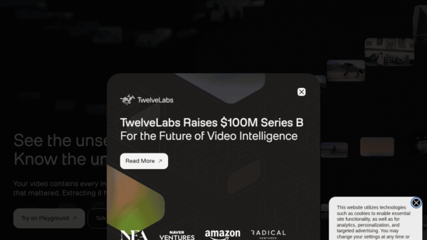 TwelveLabs interface preview