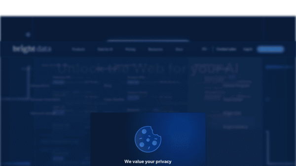 Bright Data interface preview