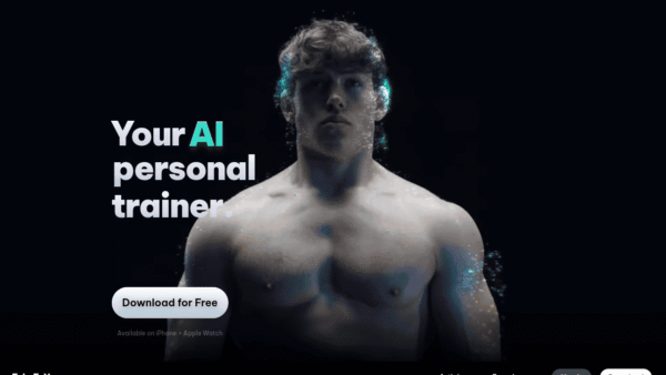 Flex AI interface preview