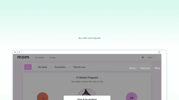 Mom AI interface preview