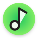AnyMusic icon
